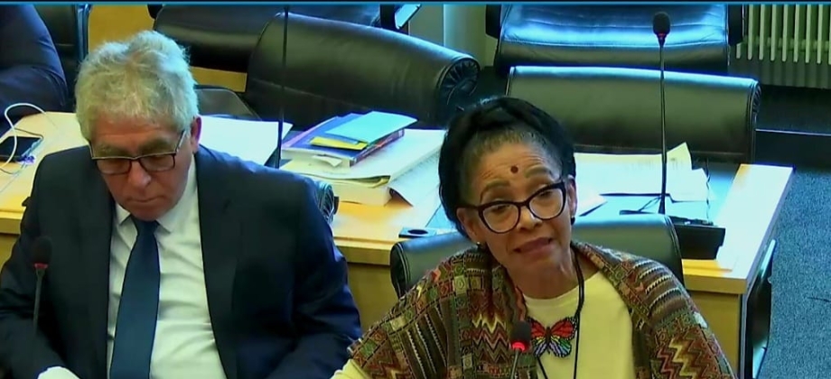 Concluyó el diálogo de Colombia con los miembros del Comité de Derechos Humanos de Naciones Unidas