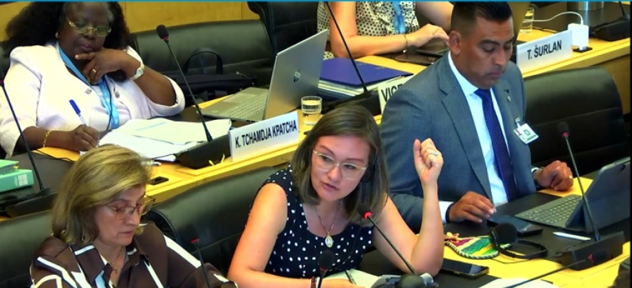 Concluyó el diálogo de Colombia con los miembros del Comité de Derechos Humanos de Naciones Unidas