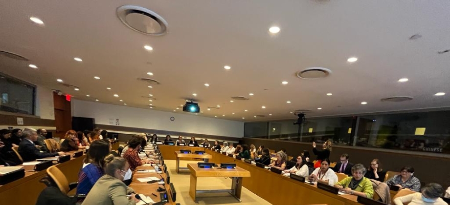 Por primera vez Colombia presenta avances de la Agenda de Mujeres, Paz y Seguridad y de la Resolución 1325 ante la ONU