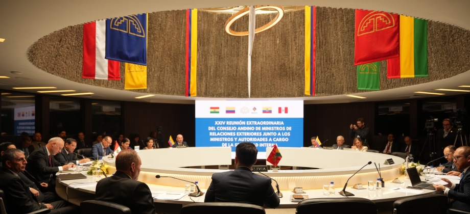 La Comunidad Andina debe luchar unida contra la Delincuencia Organizada Transnacional: El llamado de Colombia durante la Reunión Extraordinaria del Consejo Andino de Ministros de Relaciones Exteriores