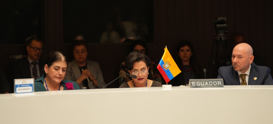 La Comunidad Andina debe luchar unida contra la Delincuencia Organizada Transnacional: El llamado de Colombia durante la Reunión Extraordinaria del Consejo Andino de Ministros de Relaciones Exteriores