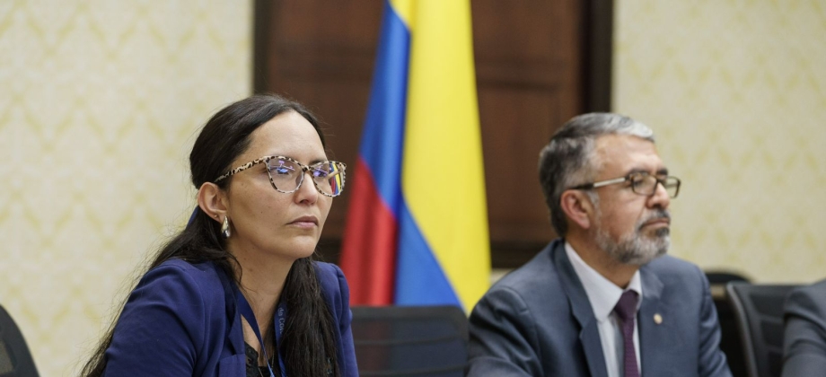 El Grupo de Alto Nivel de la Comunidad Andina sostuvo su primera reunión para avanzar en la Lucha Contra la Delincuencia Organizada Transnacional