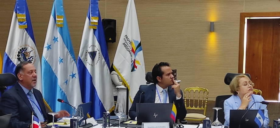 Colombia socializa avances notables en educación ambiental y seguridad vial durante su presidencia pro tempore 2023 