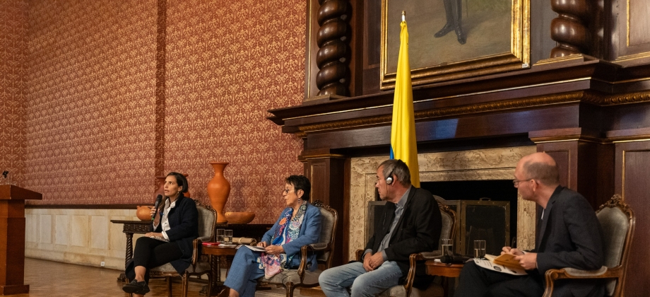 Panel ‘Superación del negacionismo para la democracia: Alemania, Chile y Colombia’