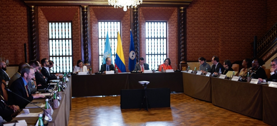 El Grupo de Amigos de la Conferencia Ministerial Mundial para la Eliminación de la Violencia contra la Niñez se reunió en Colombia para avanzar en la agenda global de protección de la niñez