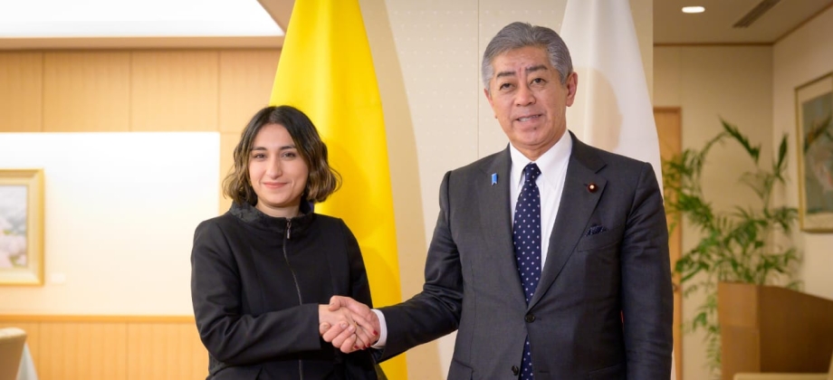 Bilateral Japon