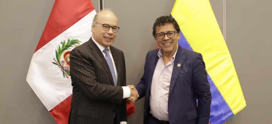 Colombia y Perú reafirman cooperación en la frontera amazónica en la XIV Reunión de la Comisión Mixta de Inspección