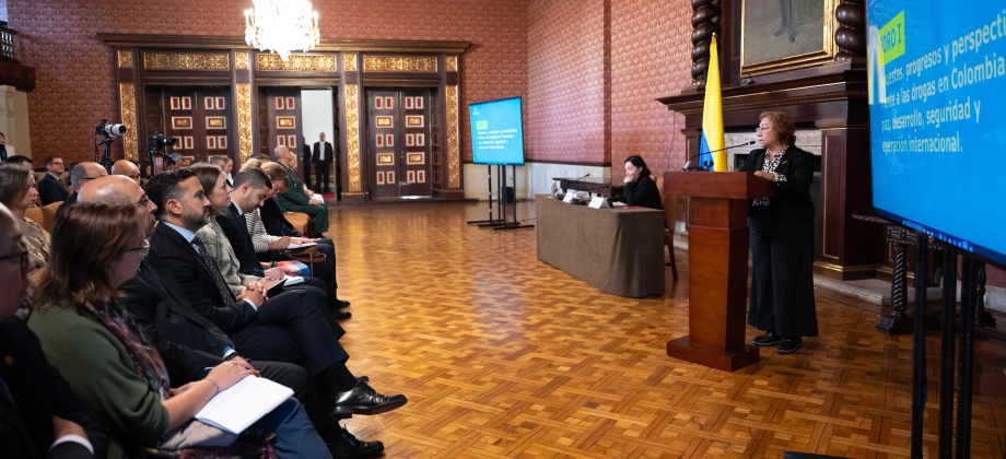 Colombia presenta avances y perspectivas en la política de drogas: paz, desarrollo, seguridad y cooperación internacional