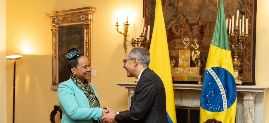 La Viceministra de Asuntos Multilaterales sostuvo encuentro bilateral con el Secretario de Asuntos Multilaterales Políticos de Brasil