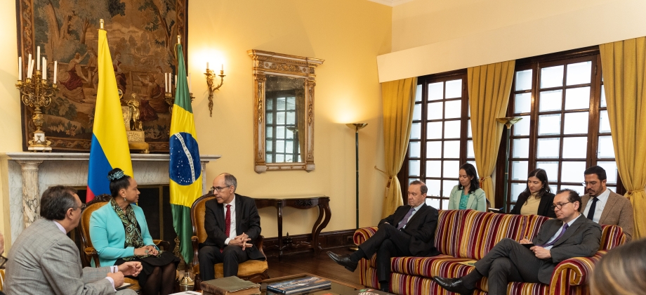 La Viceministra de Asuntos Multilaterales sostuvo encuentro bilateral con el Secretario de Asuntos Multilaterales Políticos de Brasil