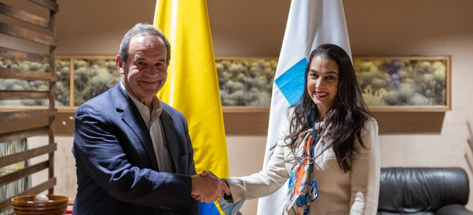 secretario Andrés Allamand fue recibido por la directora de mecanismos de concertación e integración regionales de la Cancillería, Adela Maestre.
