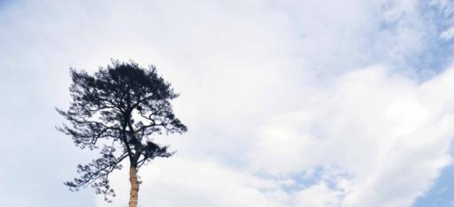 Esta fue la fotografía  ganadora del concurso, capturada por el ex embajador de 