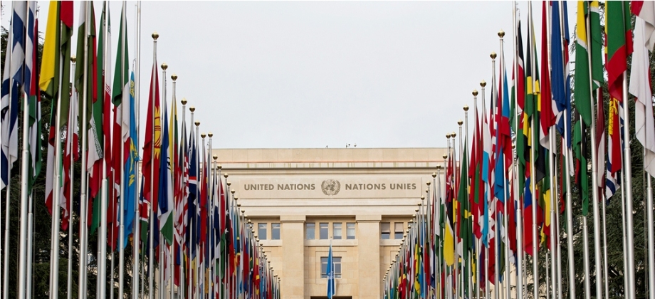 Naciones Unidas. Foto: ONU