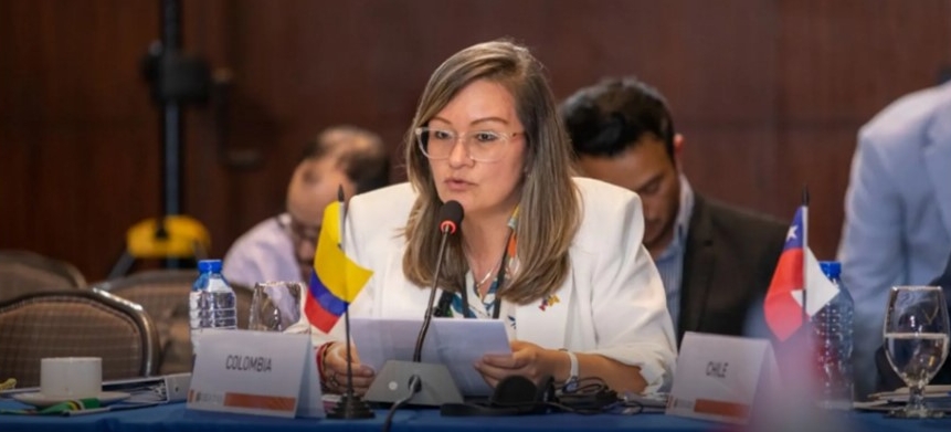 En la V Reunión de Ministros y Altas Autoridades de Desarrollo Social de OEA se dialogó sobre la Cooperación Hemisférica hacia la Reconstrucción Resiliente y el Desarrollo Social Sostenible en las Américas