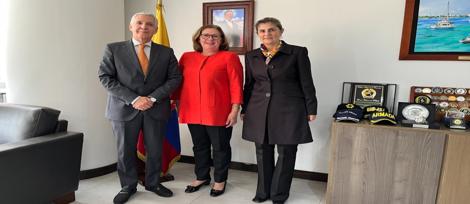 Viceministra de Asuntos Multilaterales y el Viceministro para las Políticas de Defensa y Seguridad del Ministerio de Defensa Nacional dialogaron con la directora de la Fuerza Multinacional de Paz y Observadores