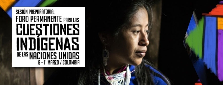 Por primera vez se realizará en Colombia la sesión preparatoria del Foro Permanente de las Naciones Unidas para las Cuestiones Indígenas 