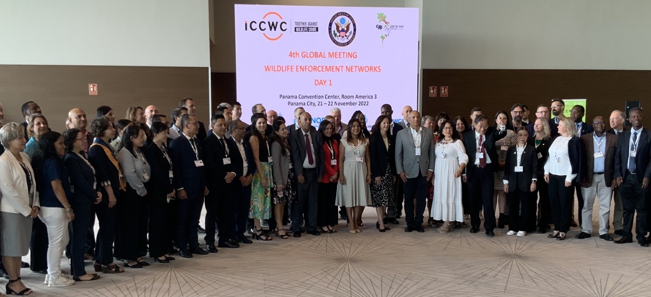 Colombia participa en la 4a Reunión Mundial de las Redes de Observancia y Aplicación de la Normativa de Vida Silvestre para fortalecer Red SedWEN
