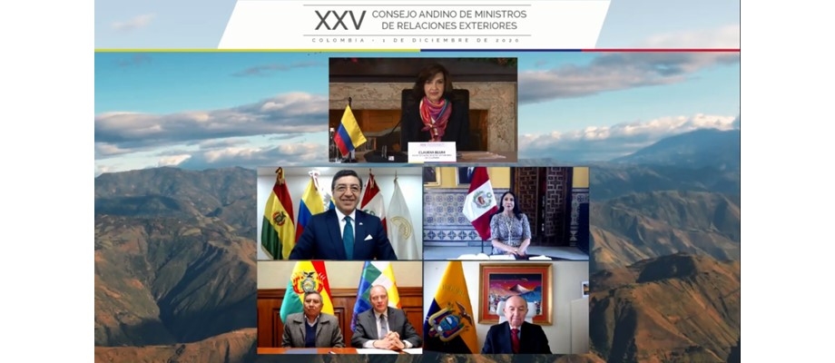  Carta Ambiental Andina de diciembre 1 de 2020