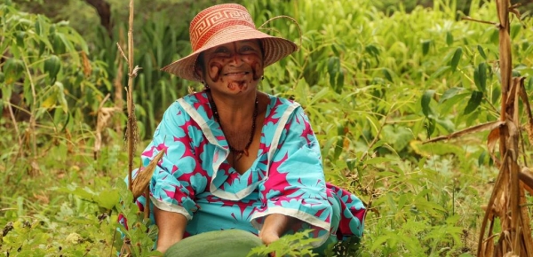 La Cancillería fortalece el sistema productivo alimentario y de agua en comunidades indígenas Wayuu de La Guajira