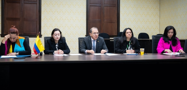 Se realizó la V Presidencia de la Comisión Binacional para la Zona de  Integración  Fronteriza Colombia – Perú