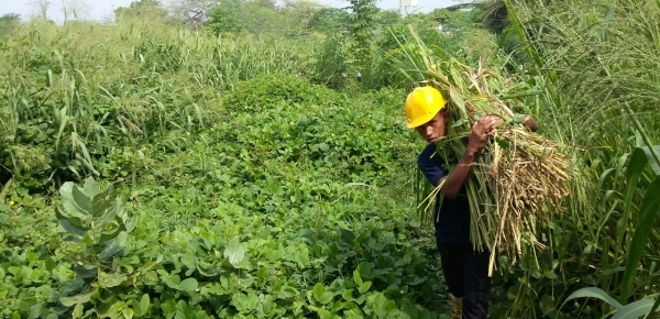 La Dirección para el Desarrollo y la Integración Fronteriza del Ministerio de Relaciones Exteriores en unión con la Fundación Alpina concluyeron el proyecto “Mejoramiento a la seguridad alimentaria y nutricional de la familia Wayúu en municipios de la alta y media Guajira de la zona de frontera”. 